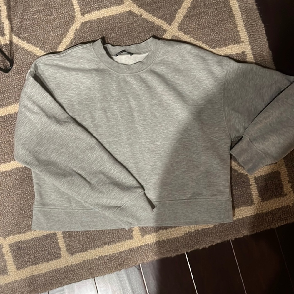 Zara plush sweatshirt